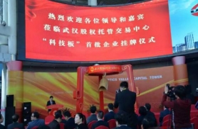 首批武汉股权托管交易中心“科技板”挂牌企业